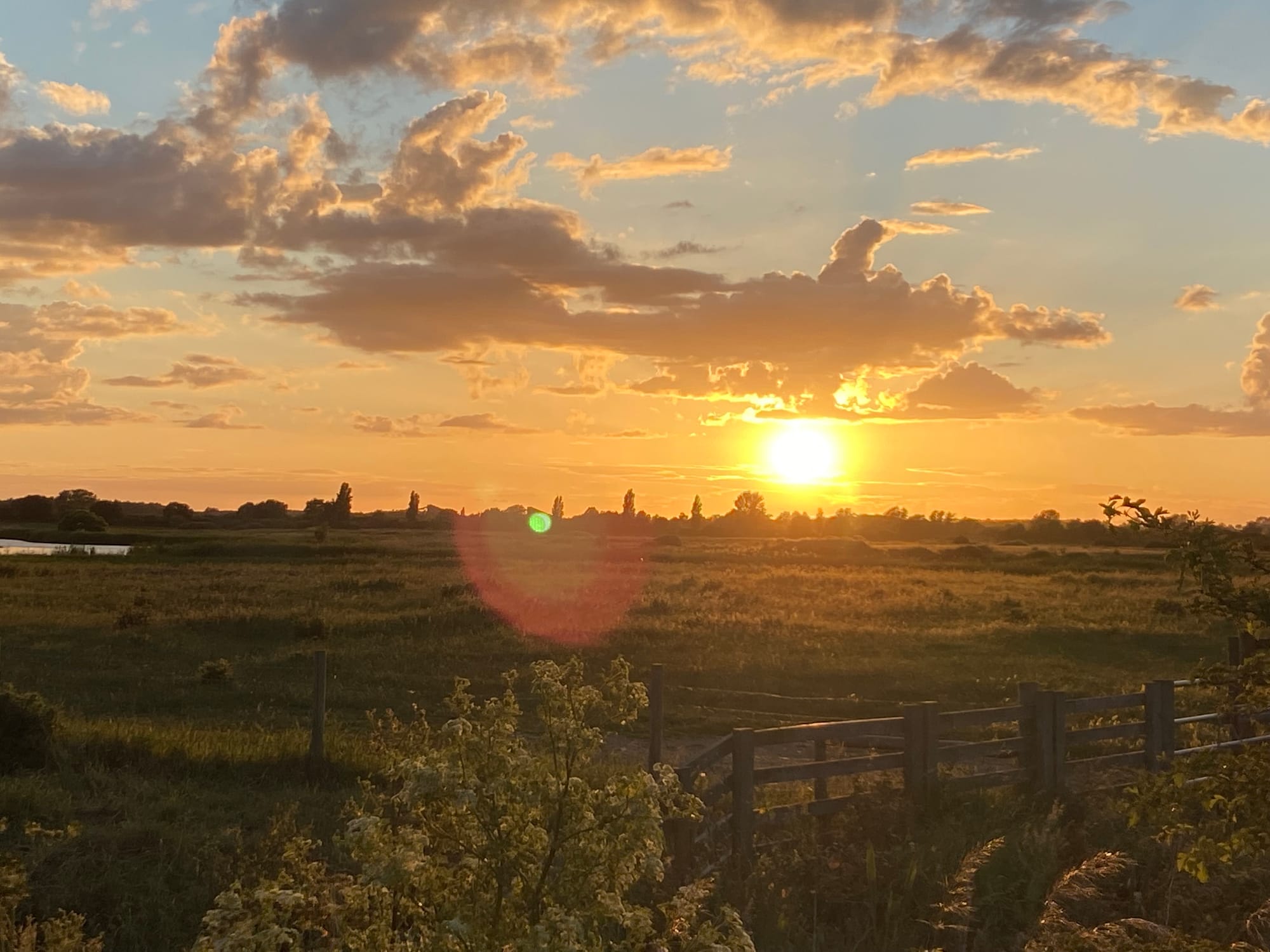 RSPB Ouse Fen June 2022