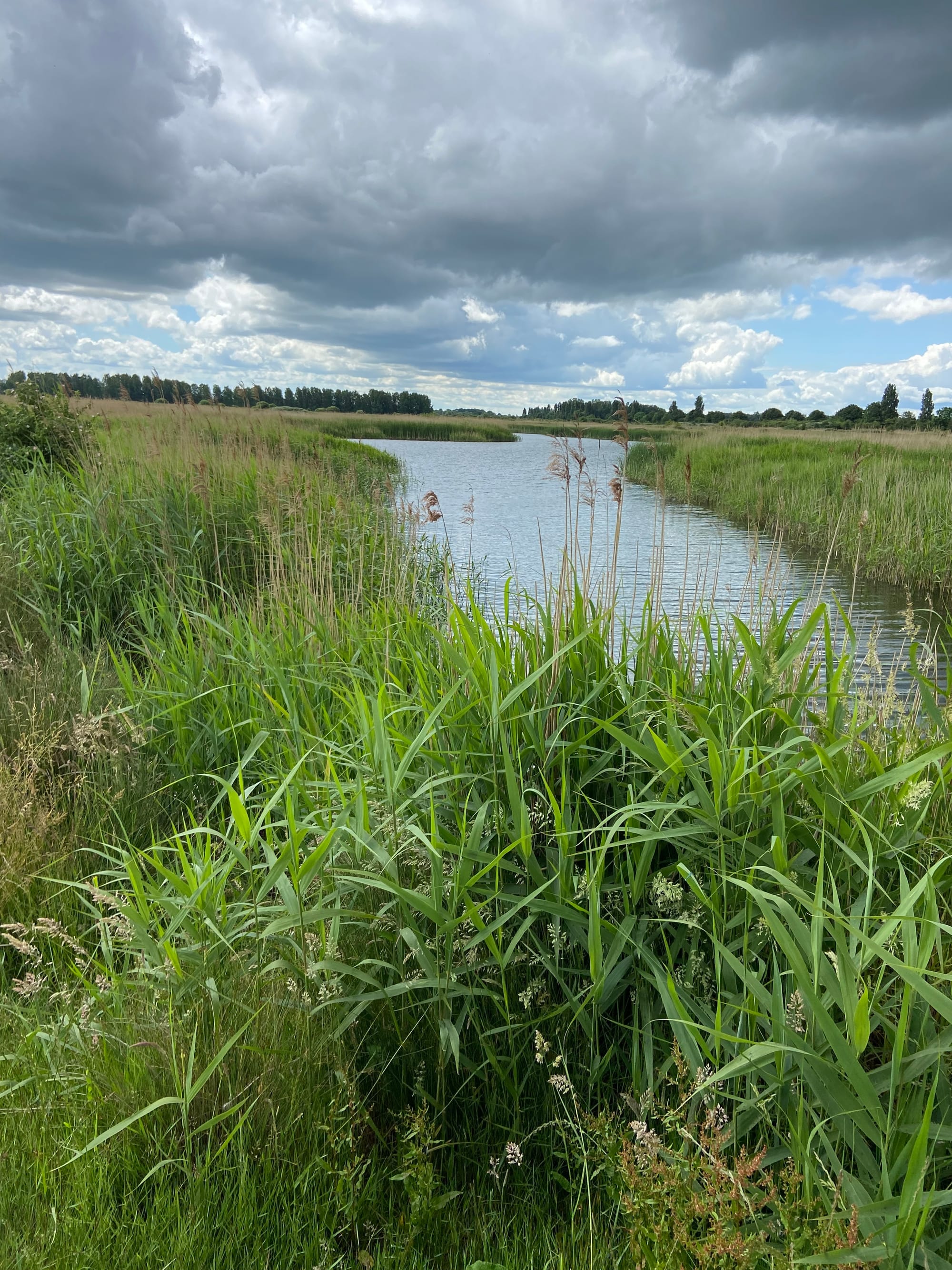 Ouse Fen June 2022