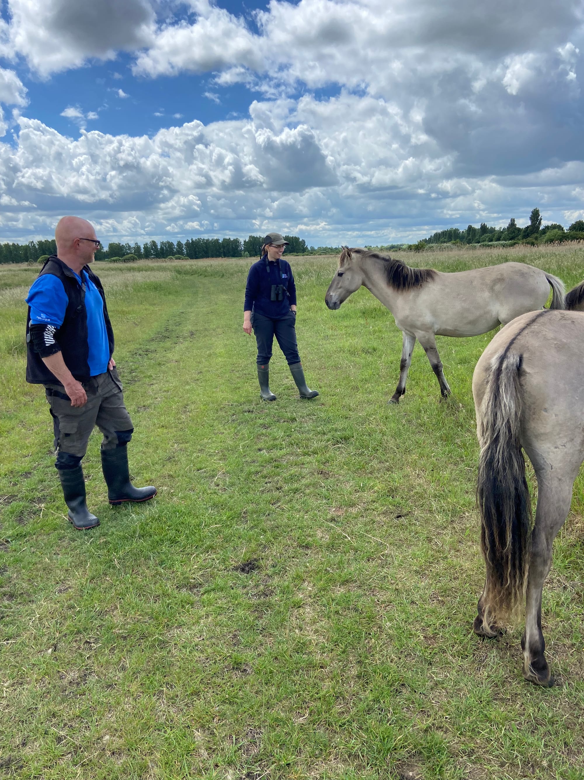 Ouse Fen June 2022