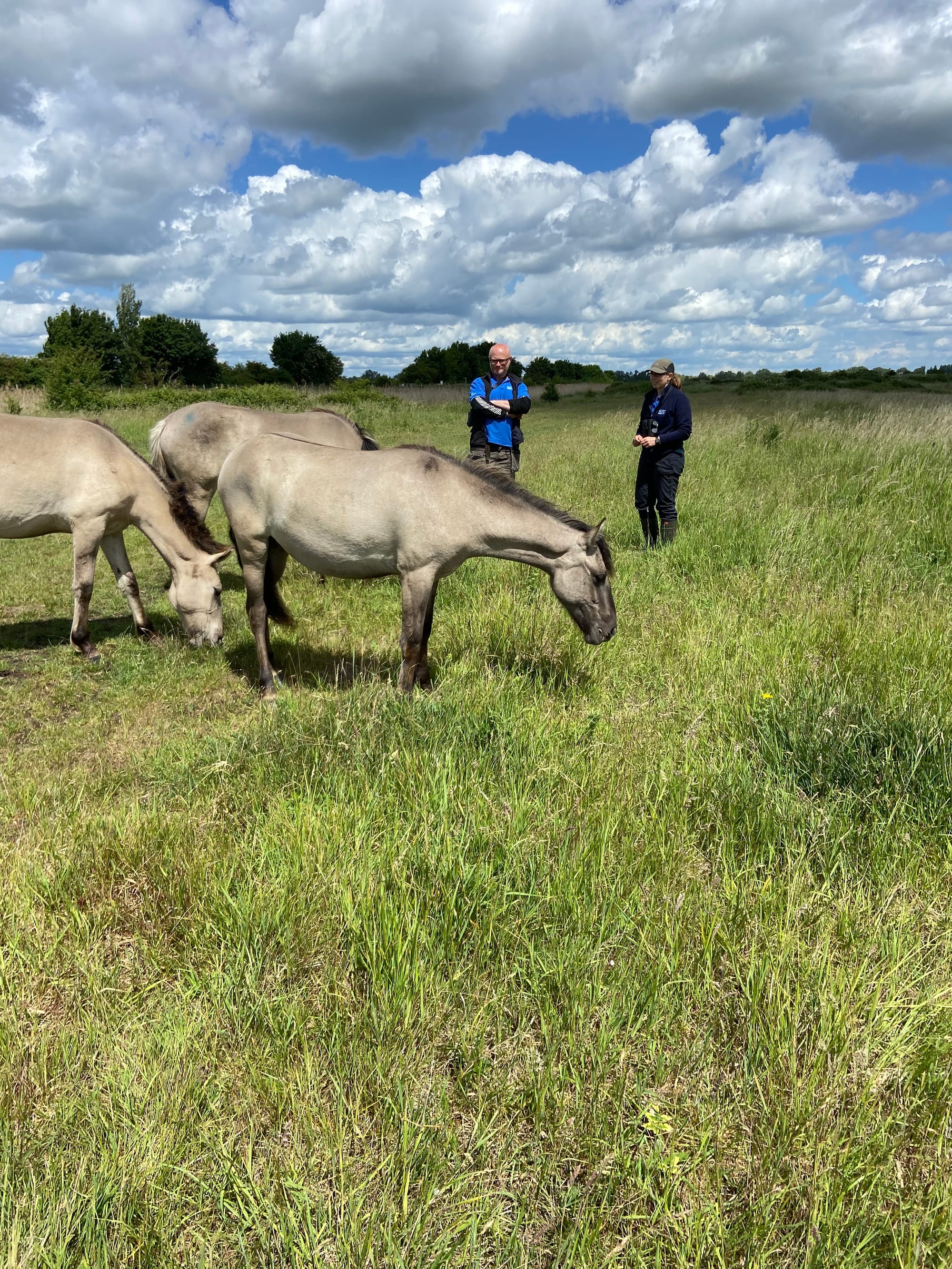 RSPB Ouse Fen June 2022