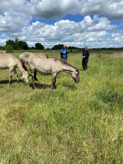 RSPB Ouse Fen
