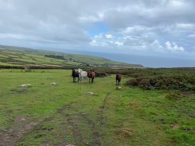 Back in Cornwall with the National Trust
