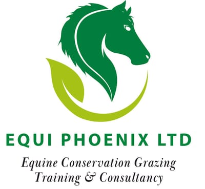 Equi Phoenix Ltd