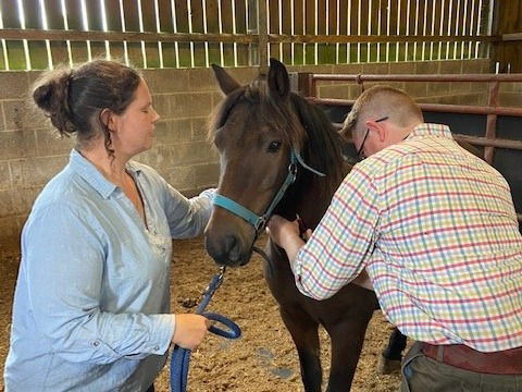 Equine and People Training