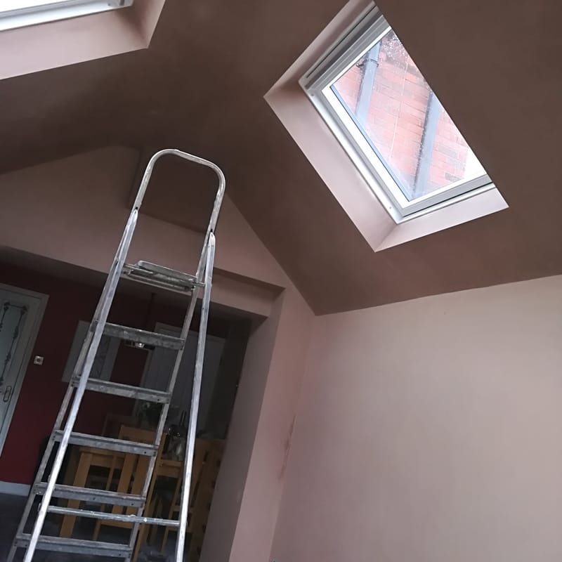 TRADITIONAL SKIMMING