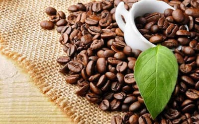 Giá cà phê hôm nay trực tuyến tại các tỉnh Việt Nam