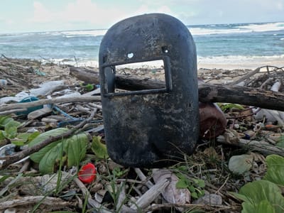 LE NOUVEAU VISAGE DE L’OCEAN