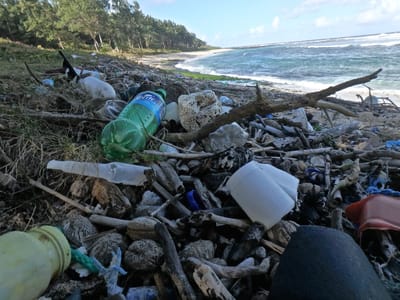 JE DEPOSE Où MA SERVIETTE DE PLAGE ?