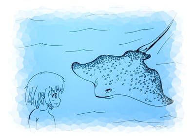 POEME ET DESSIN 14 . RAIE  image
