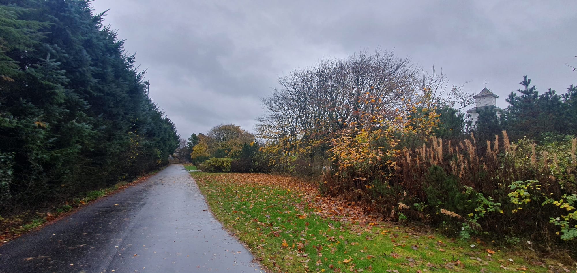 autumn nov 2022 Tananger