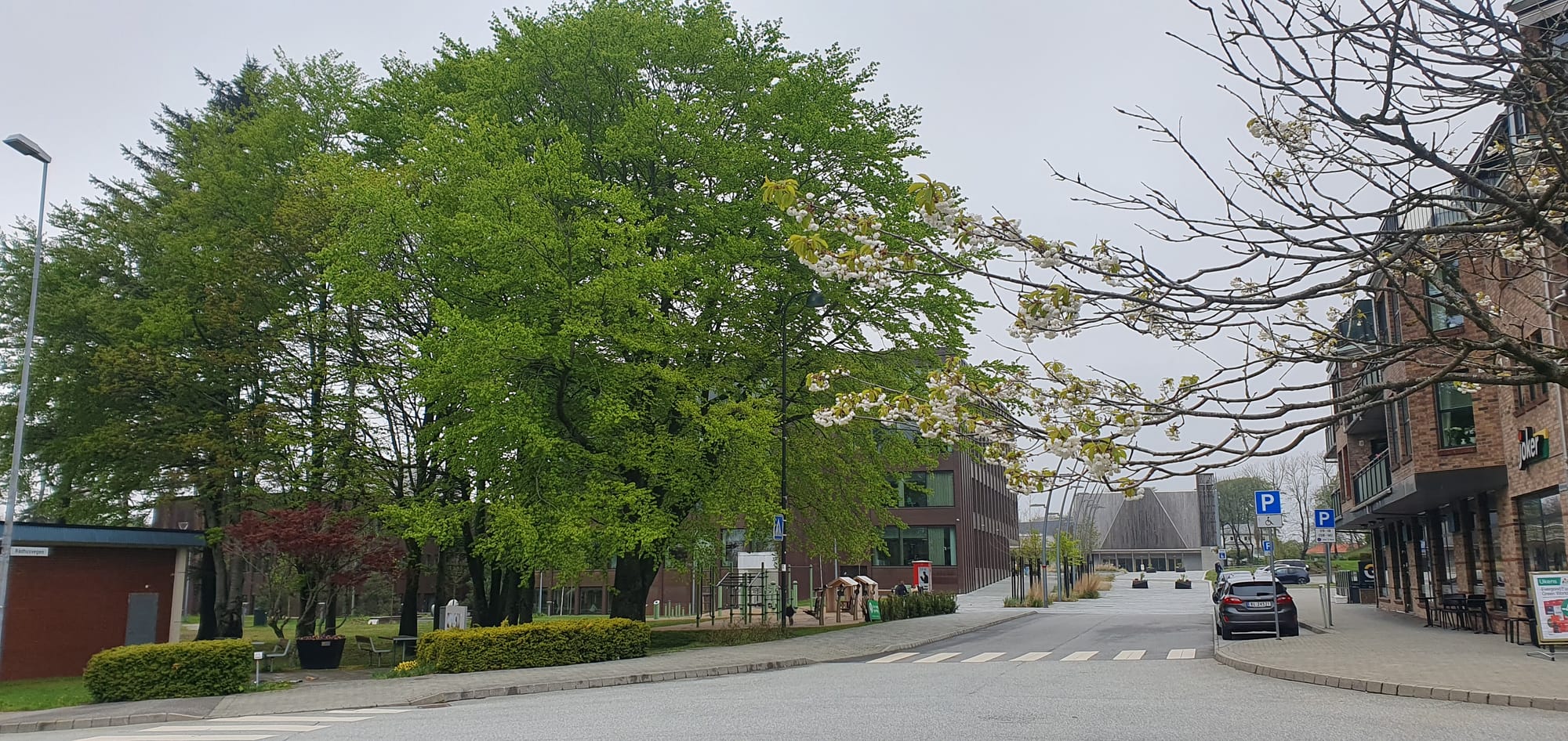 Sola center  11 may 2023