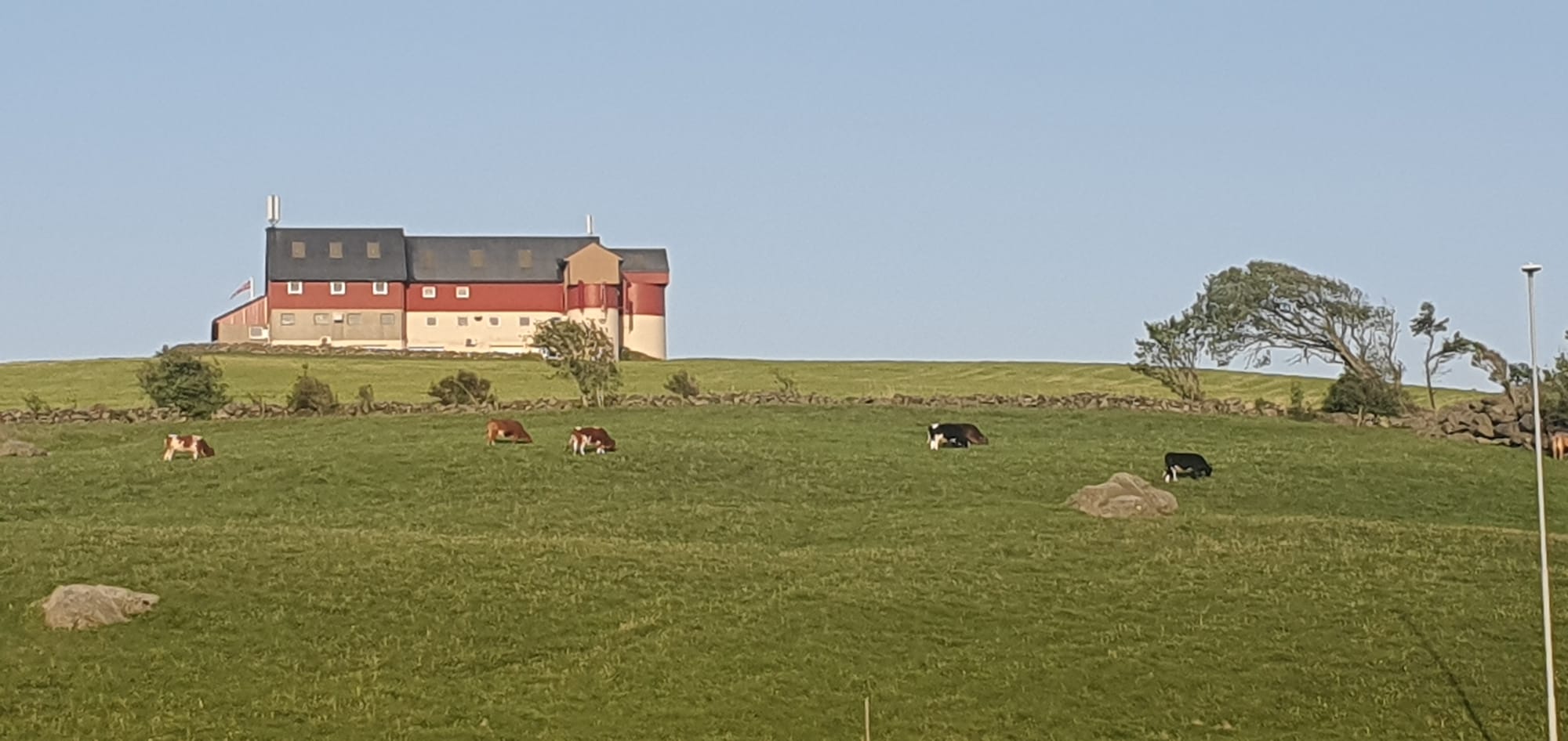 Animals and farm in Klepp Jun 2023
