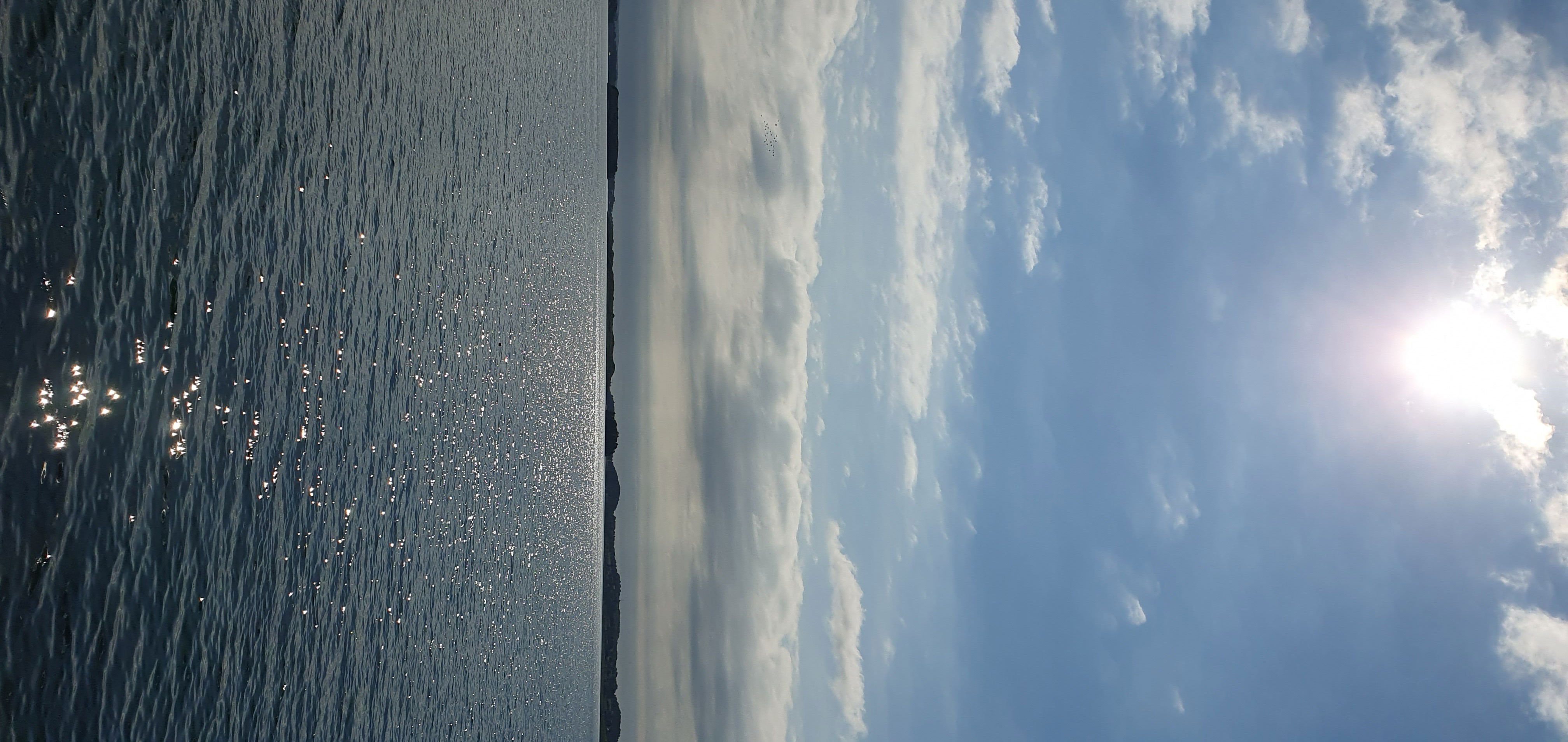 Hafrsfjord august 2023