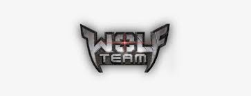 قسم WolfTeam