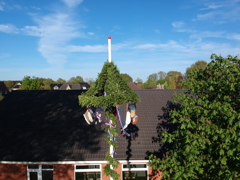 Maibaum aufstellen