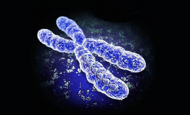 چگونه سلول تعداد صحیح کروموزوم را تشخیص می دهد؟!!