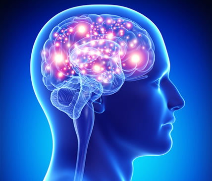 سلولهای مغزی پیری را کنترل می کنند