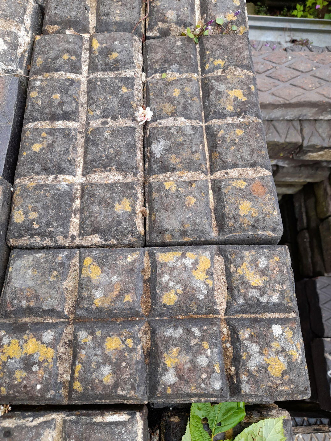 Staffordshire Blue chocolate block pavers. Great patina on them