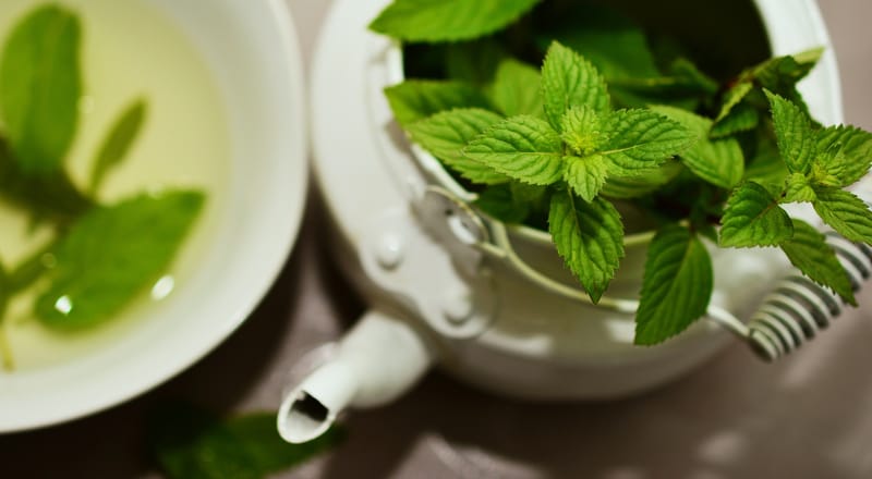 HIERBAS Y PLANTAS MEDICINALES