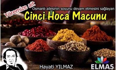 Cinci Hoca Macunu