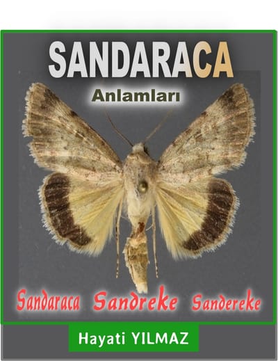 SANDARAKA ANLAMLARI