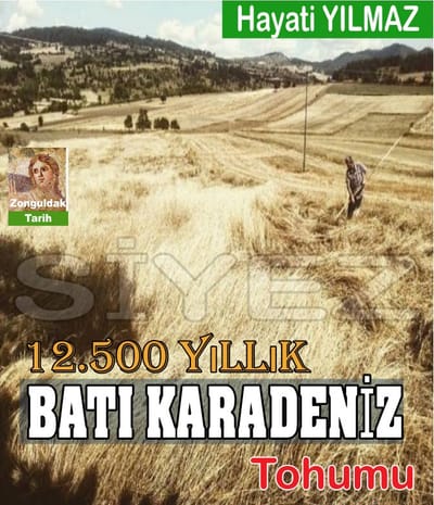 12.500 YILLIK BATI KARADENİZ TOHUMU