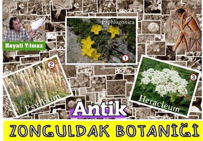 ZONGULDAK BOTANİĞİ (ANTİK)