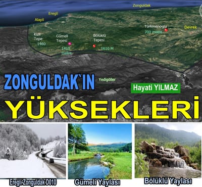 TEPE TEPE ZONGULDAK