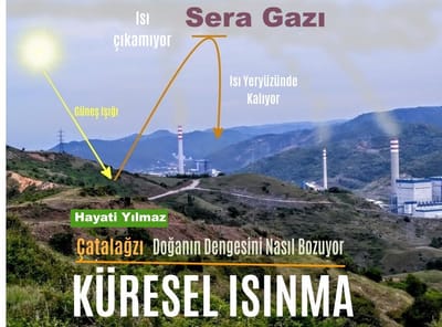 ÇATALAĞZI'NA KURULAN SANTRALLER , DOĞANIN DENGESİNİ NASIL BOZUYOR?