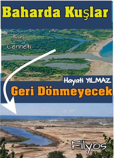 BAHARDA KUŞLAR GERİ DÖNMEYECEK