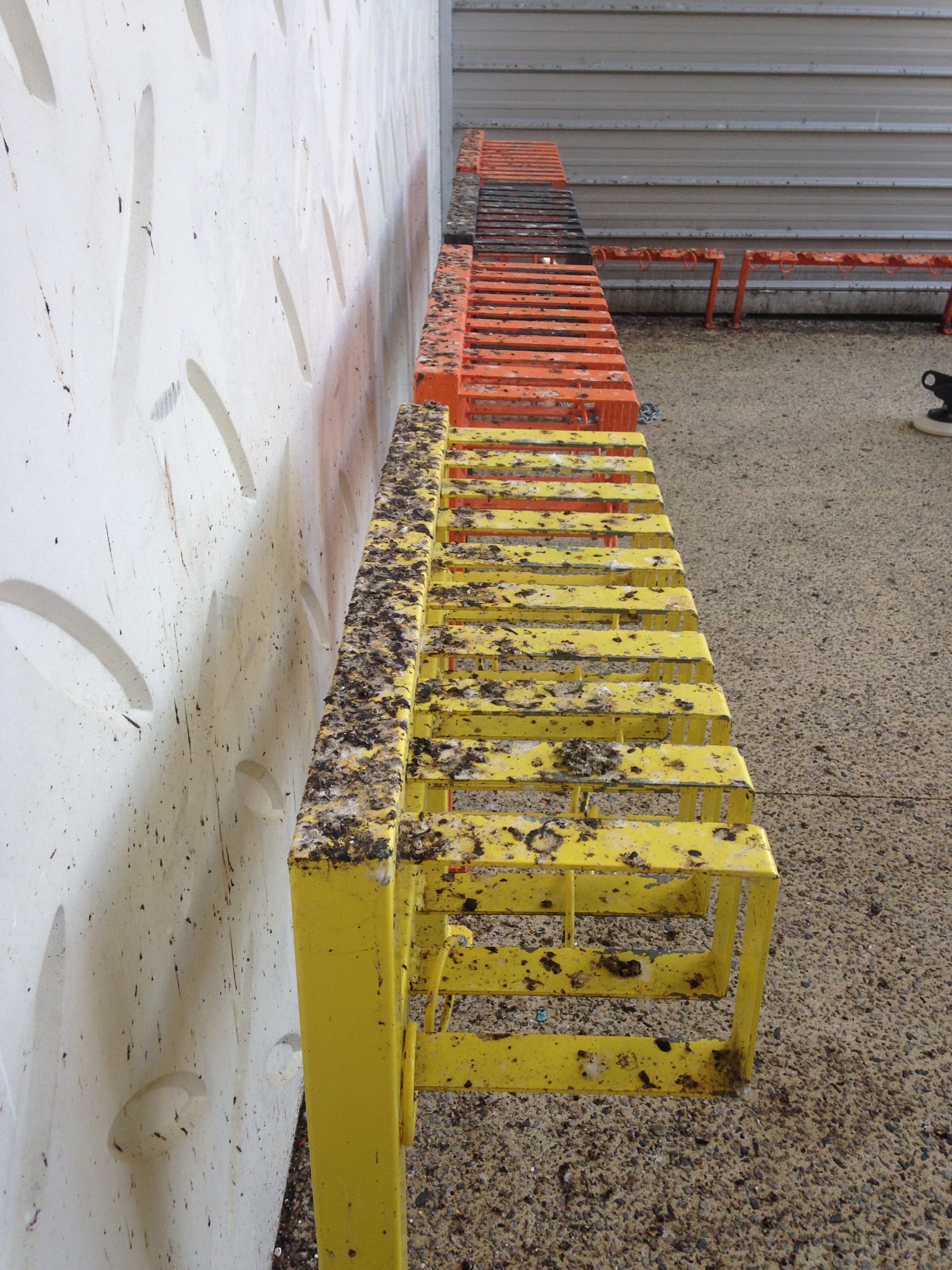 Unhygienic Pigeon Fouling Fixed by Installation of Spikes