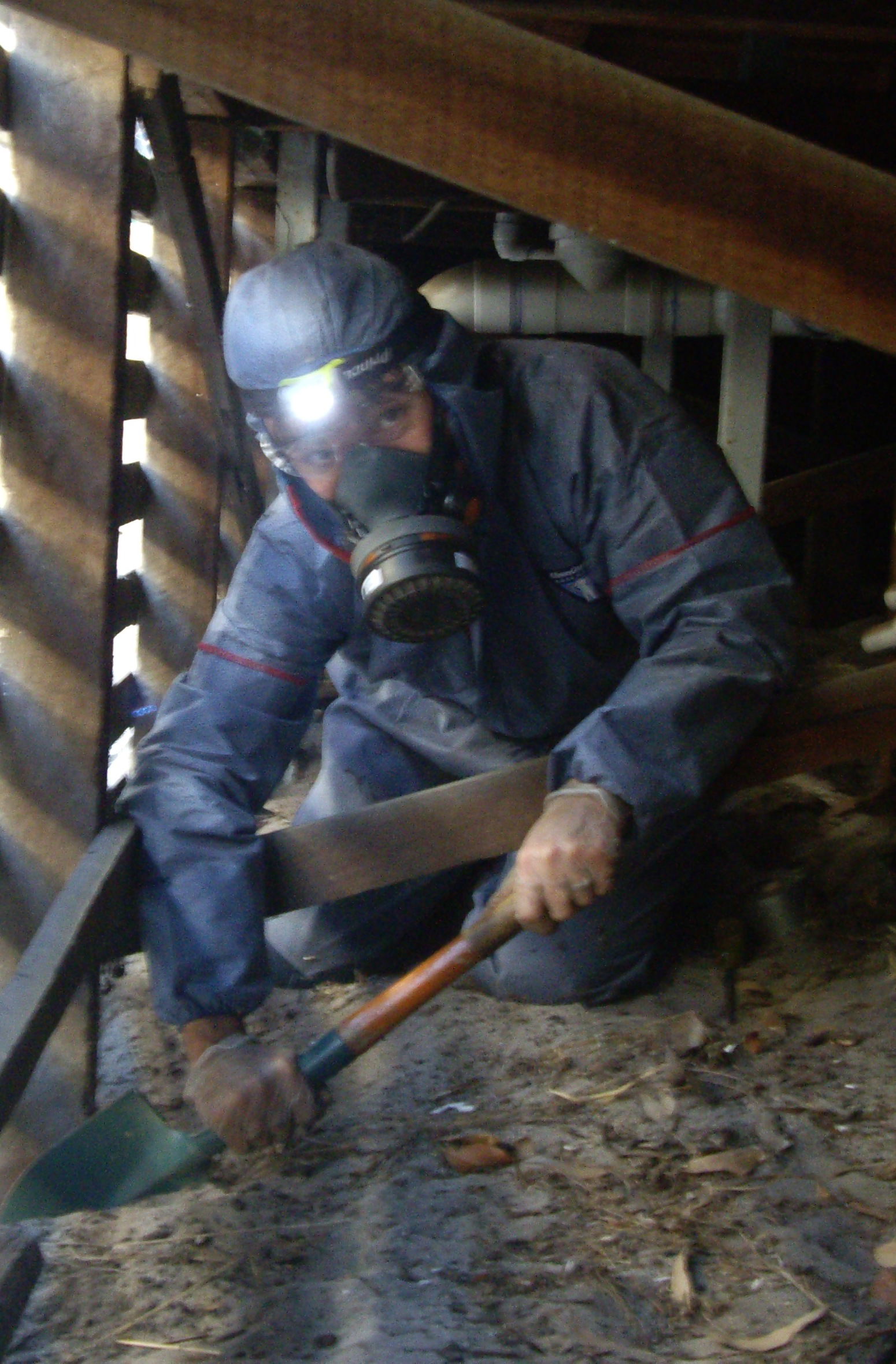 Staff in PPE During Subfloor Treatment