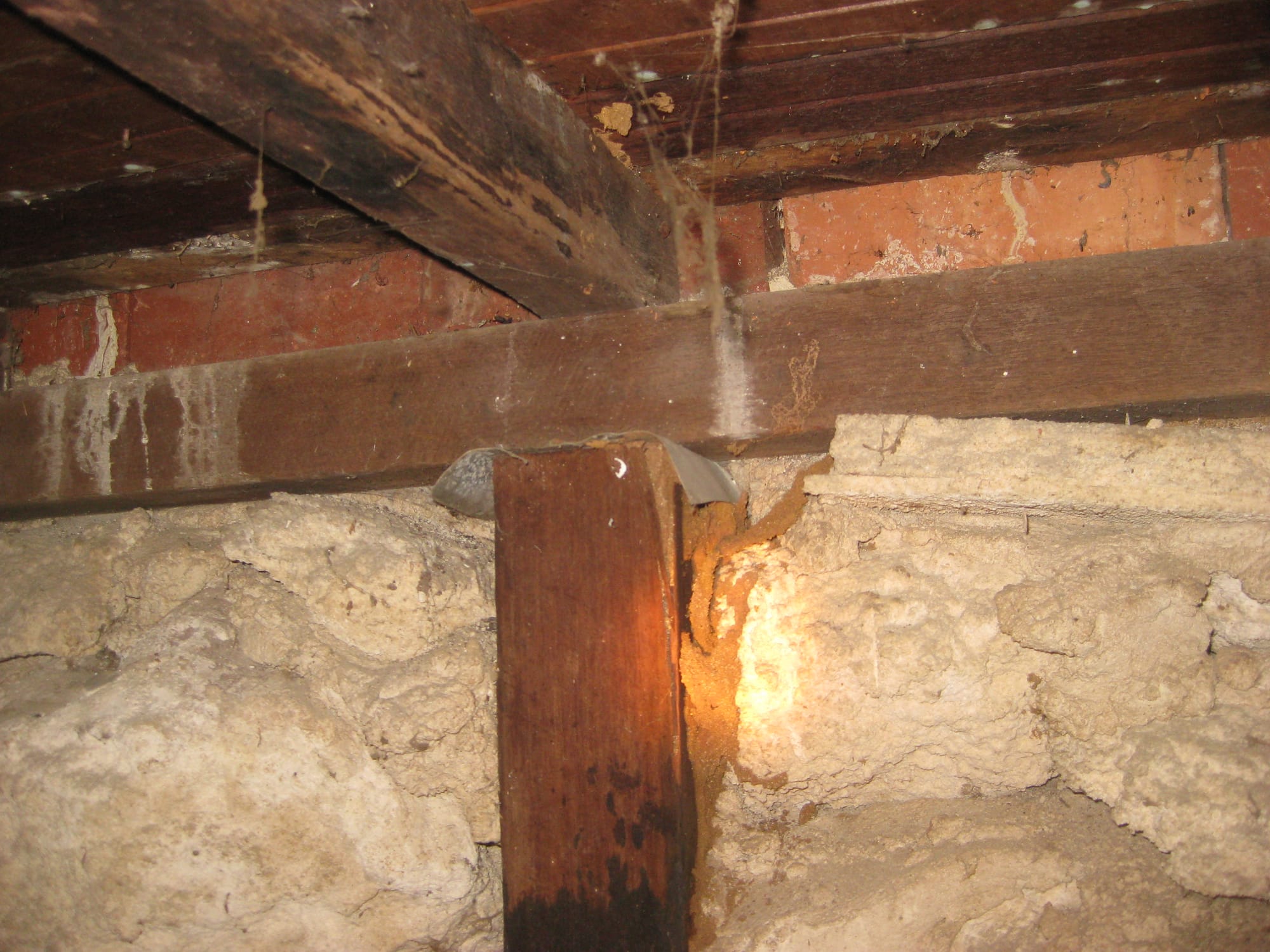 Perth house #1 Subfloor Termite Activity Treated - Roof Also Infested with Termites