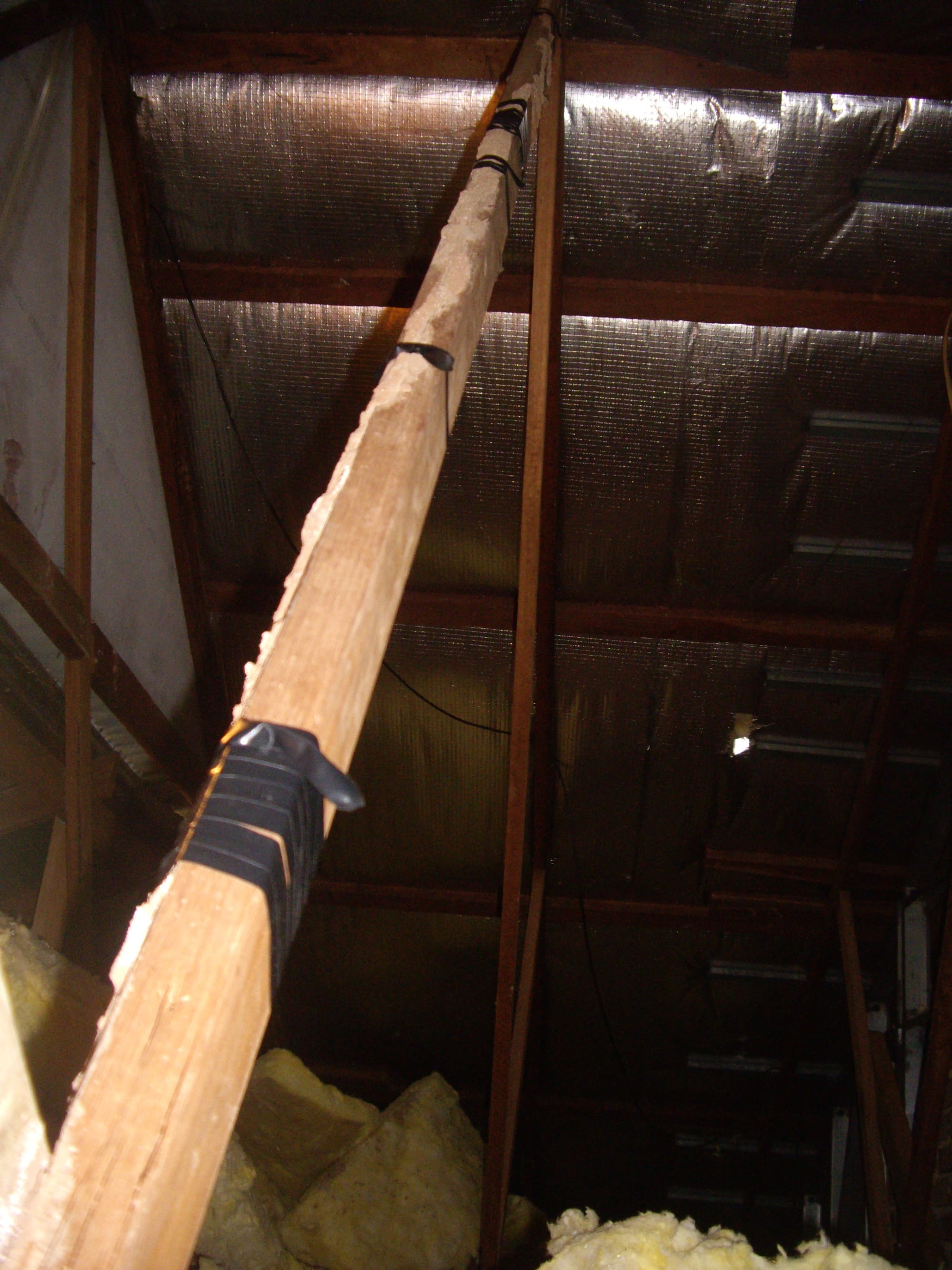 Termite Activity in Roof Void Treated to Elimination of Infestation