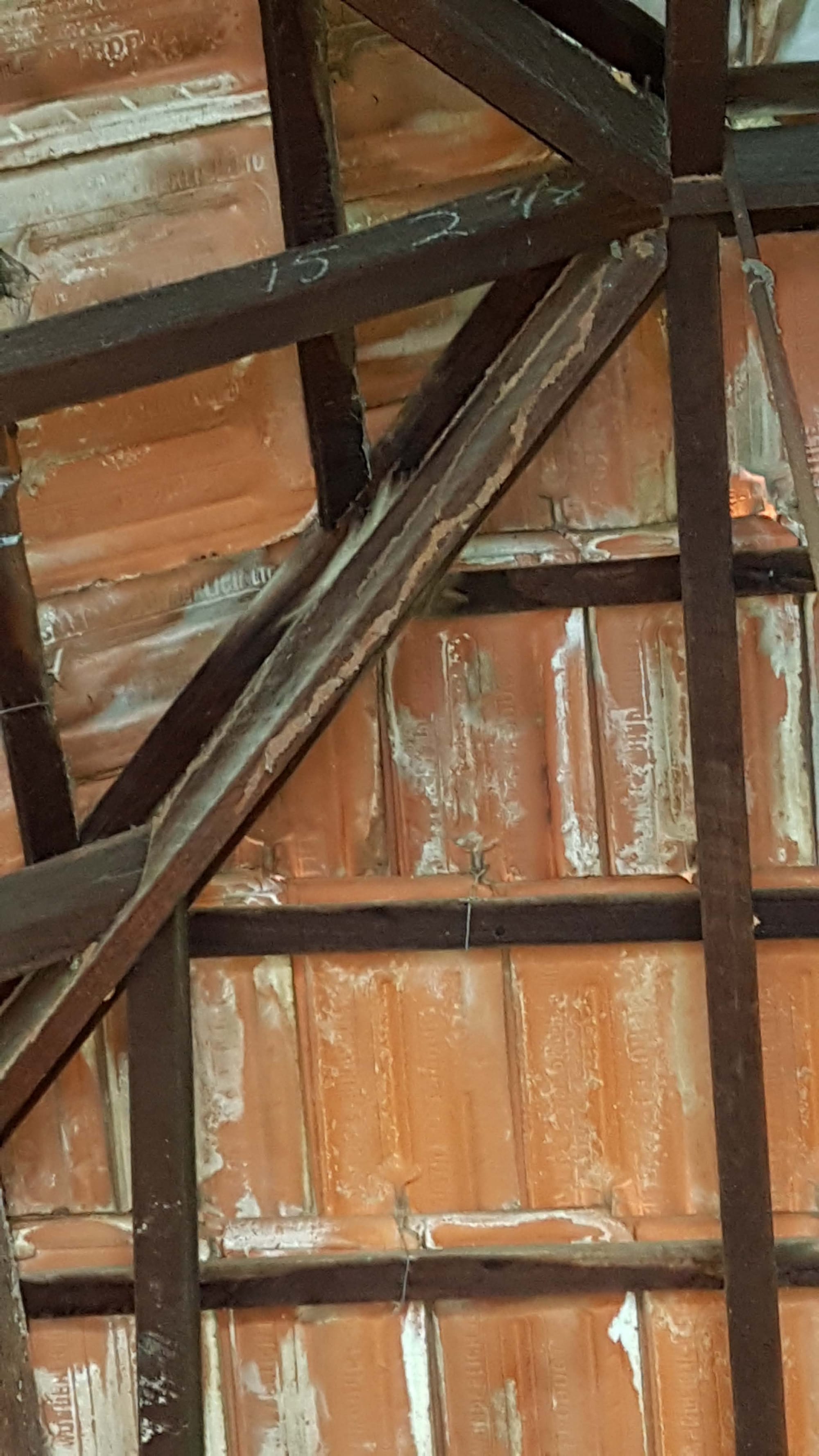 Termite Activity Discovered During 12m Termite Inspection