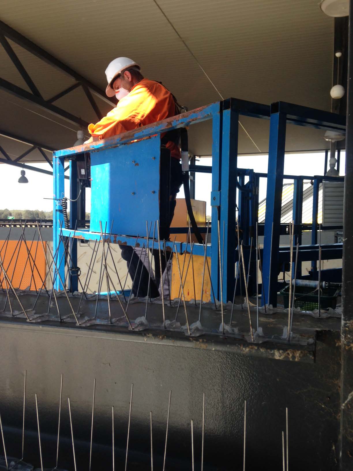 Working at Heights Trained Staff to Install Bird Spikes