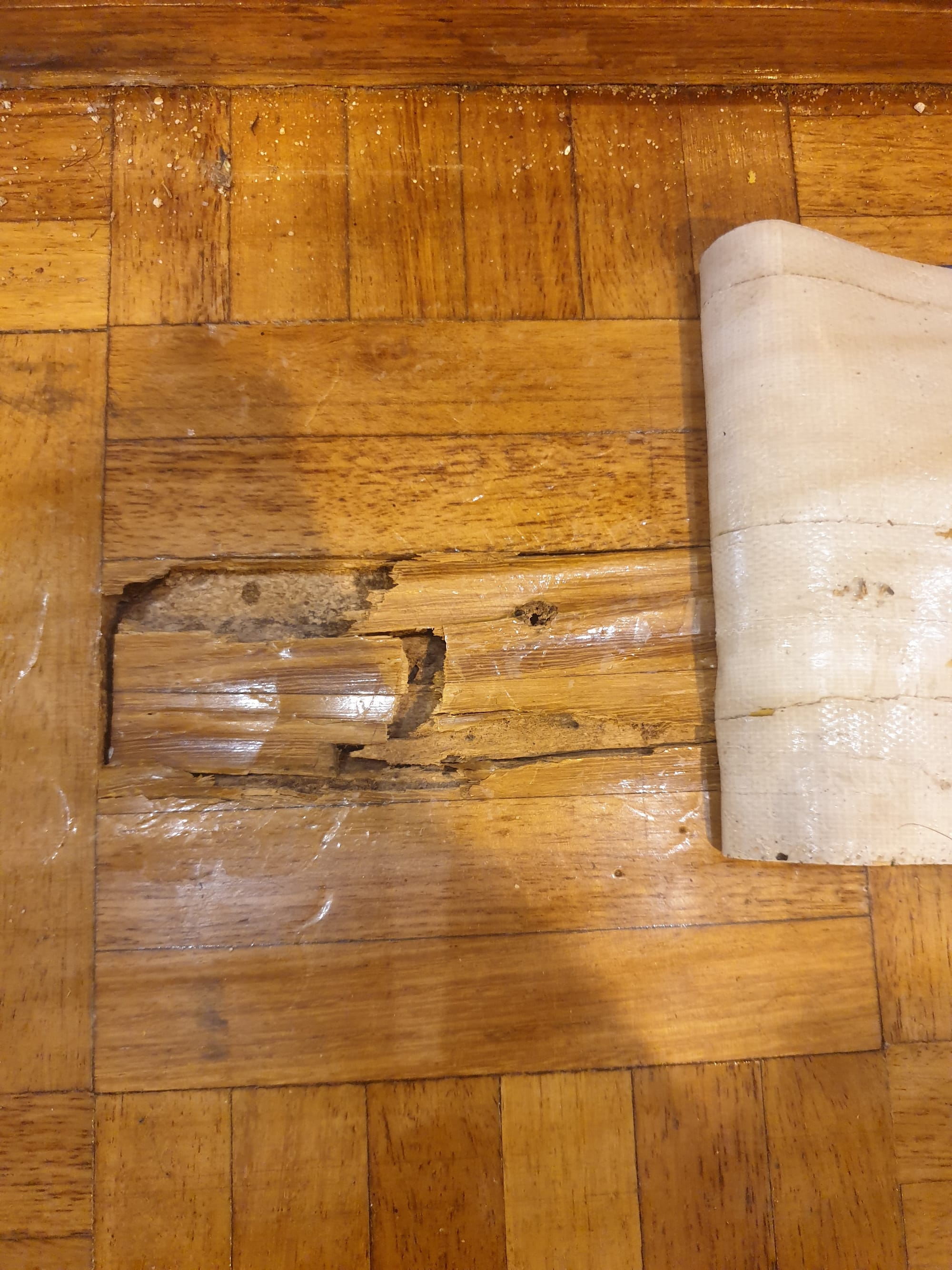 $$$Damage Bill- Termite Damage to Parquetry Flooring in Gym