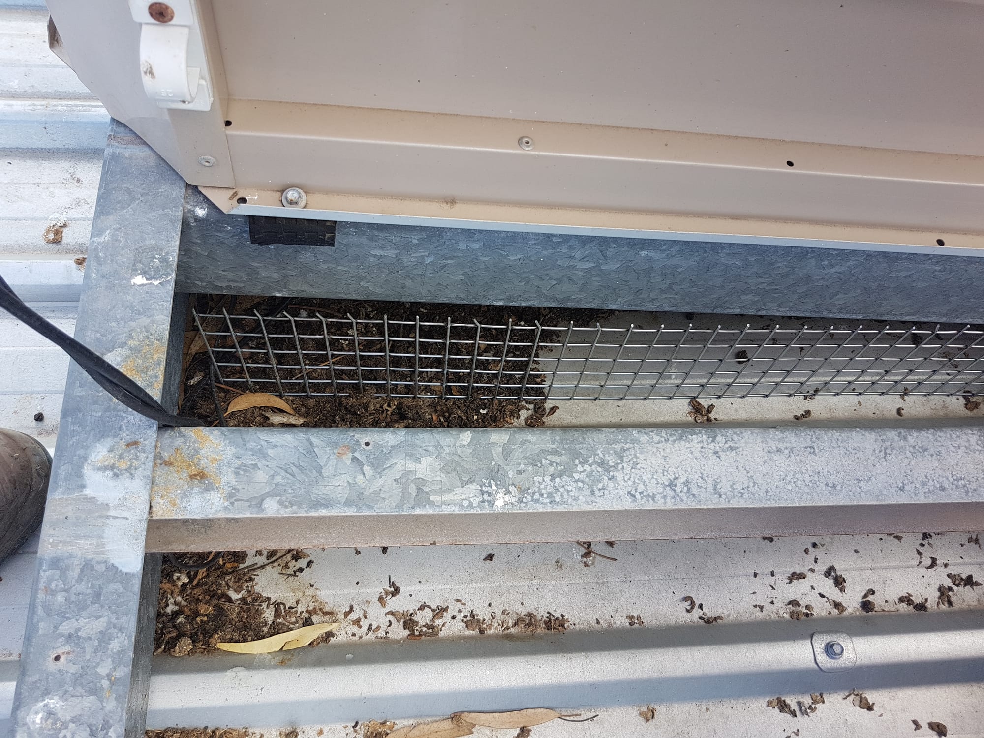 Pigeon Droppings in Guttering Causes Health Risk