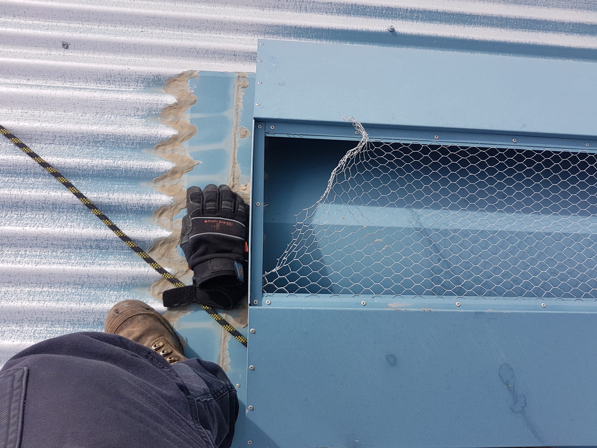 Repairs to Damaged Bird Mesh to Prevent Entry to Roof Void