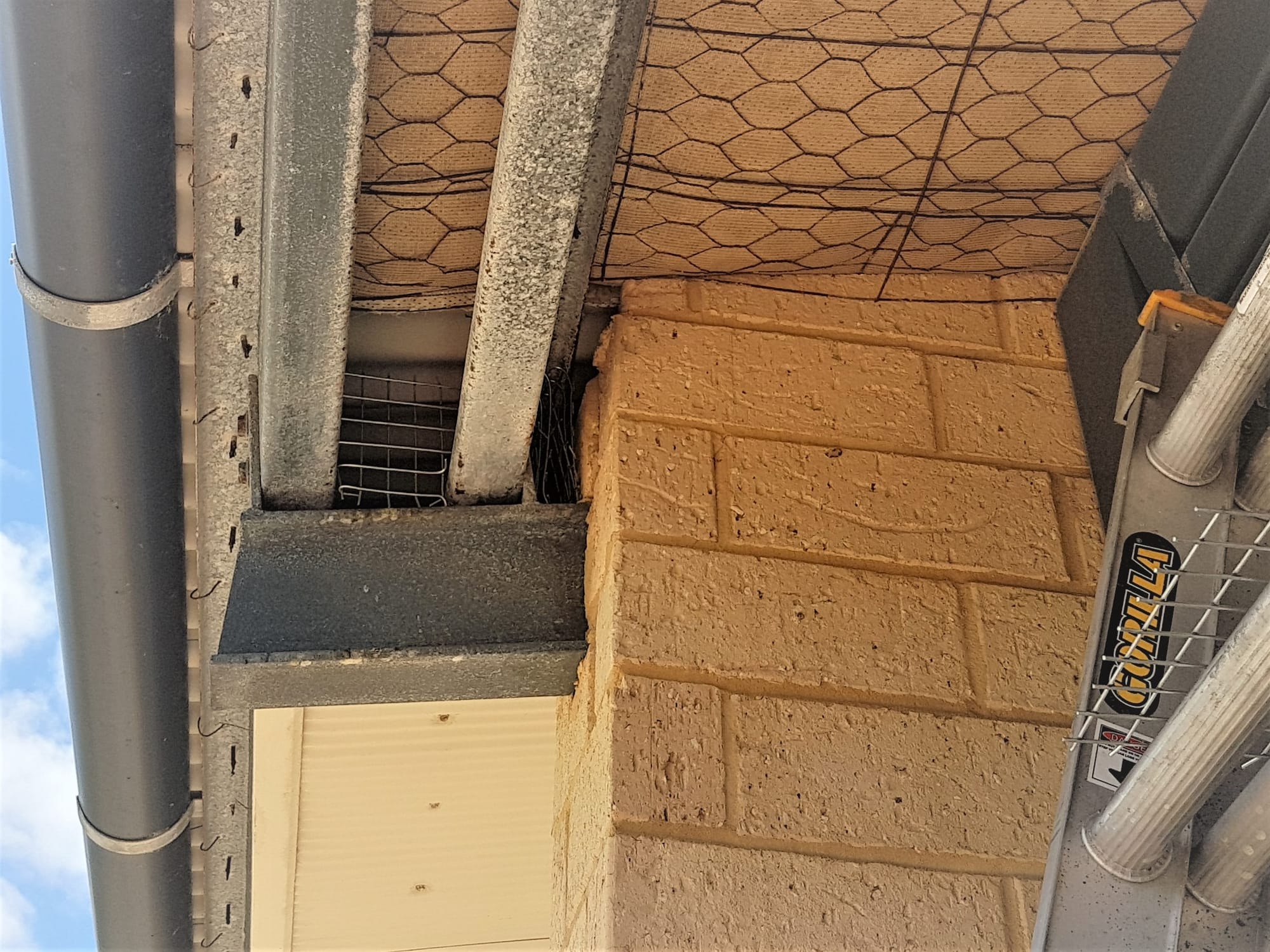 Mesh Installed to Block Pigeon Entry to Roof Void
