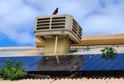 Complete Pest Solutions image