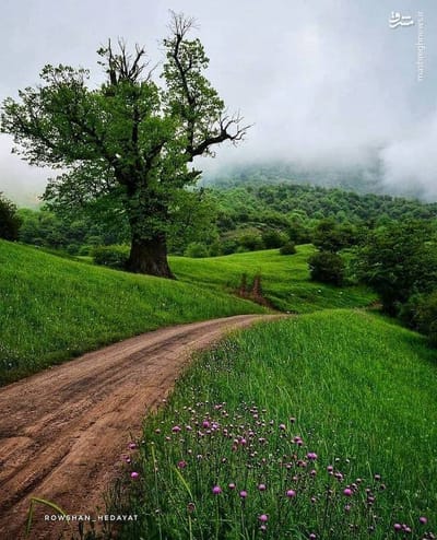 دعا برای دنیا و اخرت بعد از نماز صبح