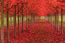 دعای بستن مرد