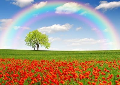 اثار و برکات دعای حرز یمانی