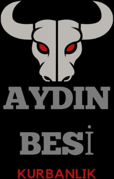 Aydın besicilik