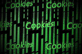 Session Hijacking: Cookie Poisoning