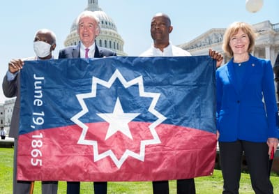 CEO Steve Williams image