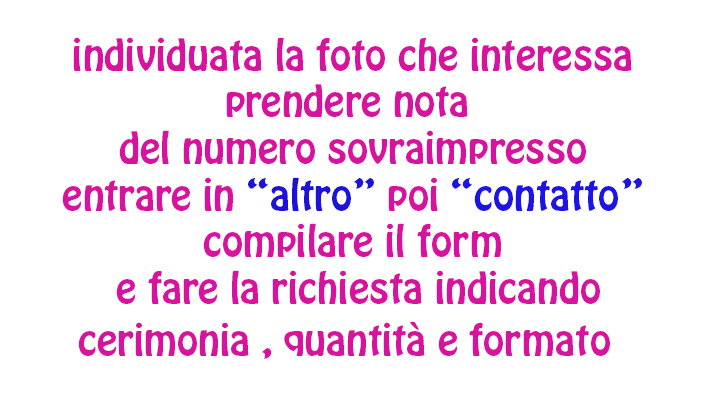 ISTRUZIONI