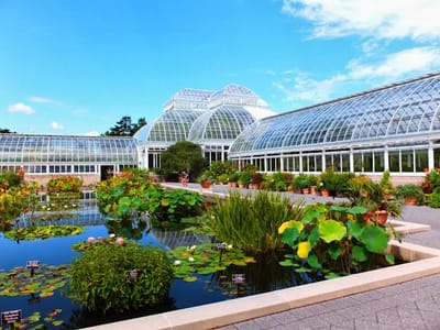 About NY botanical Garden image