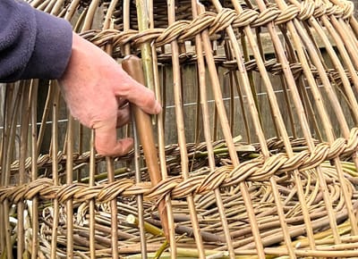 Critically Endangered Craft - Made in Plymouth